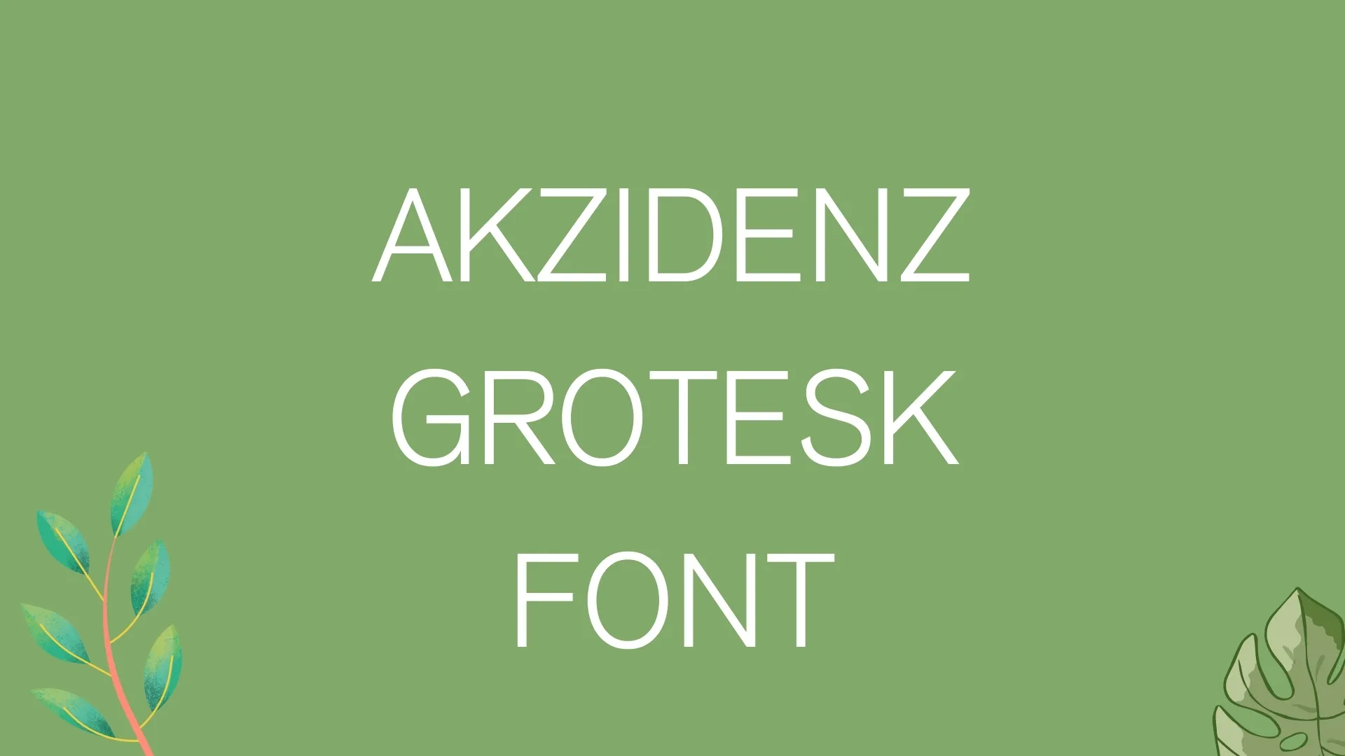 Akzidenz Grotesk Font Free