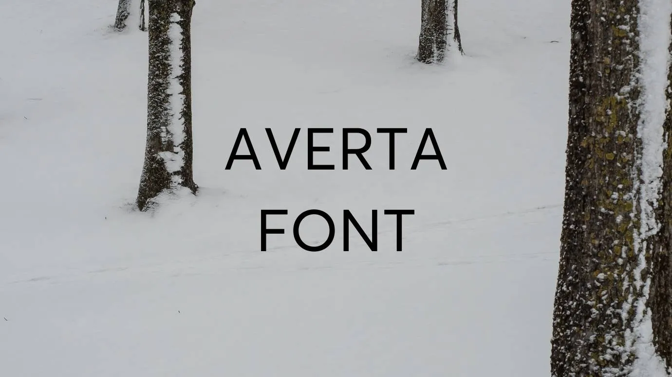 Averta Font Free