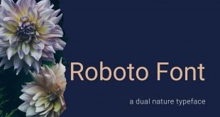 Roboto Font Free