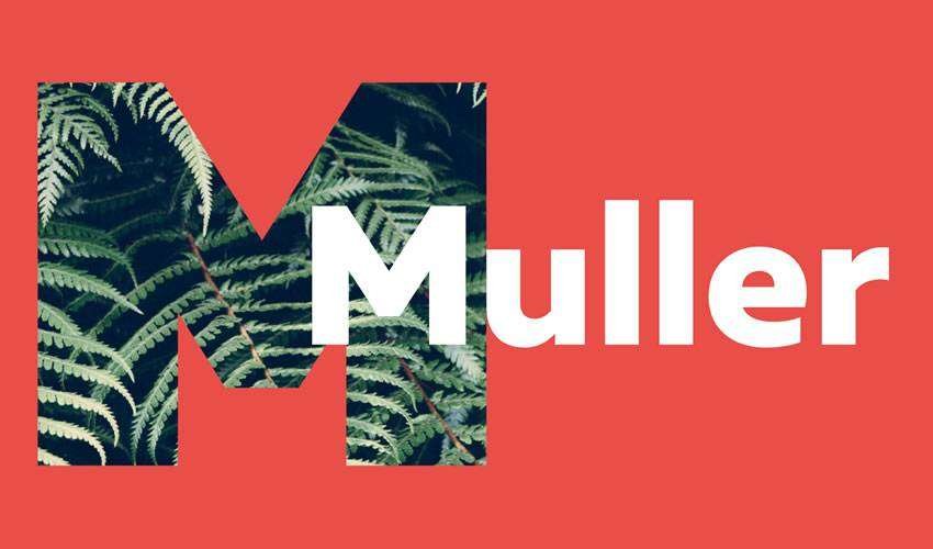 Muller Font Free Download