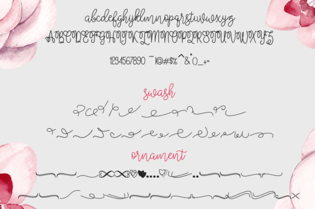 Bralyn Monoline Script Typeface