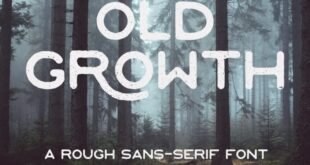 Old Growth Font Free Download