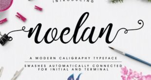 Noelan Script Font Free