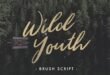 Wild Youth Font Free Download