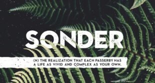 Sonder Font Free Download