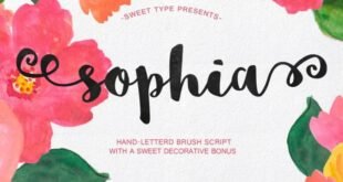 Sophia Handlettered Brush Script Font Free Download