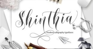 Shinthia Script Font Free Download