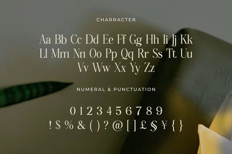 Gradine Font- 3