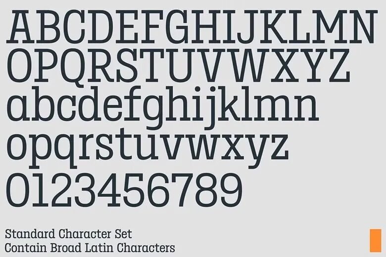 Birdwood Font Family - 3