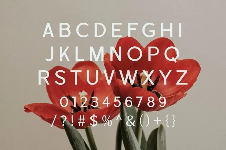 Cardio Font - 3